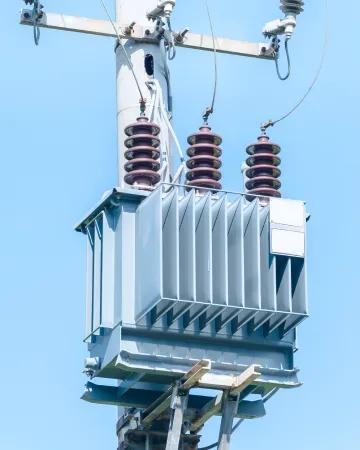 Power Grid Monitoring